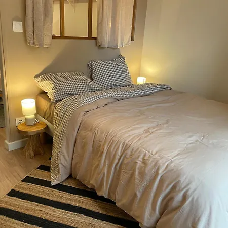 Beautiful Angevin Angers