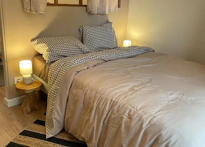 Beautiful Angevin Angers